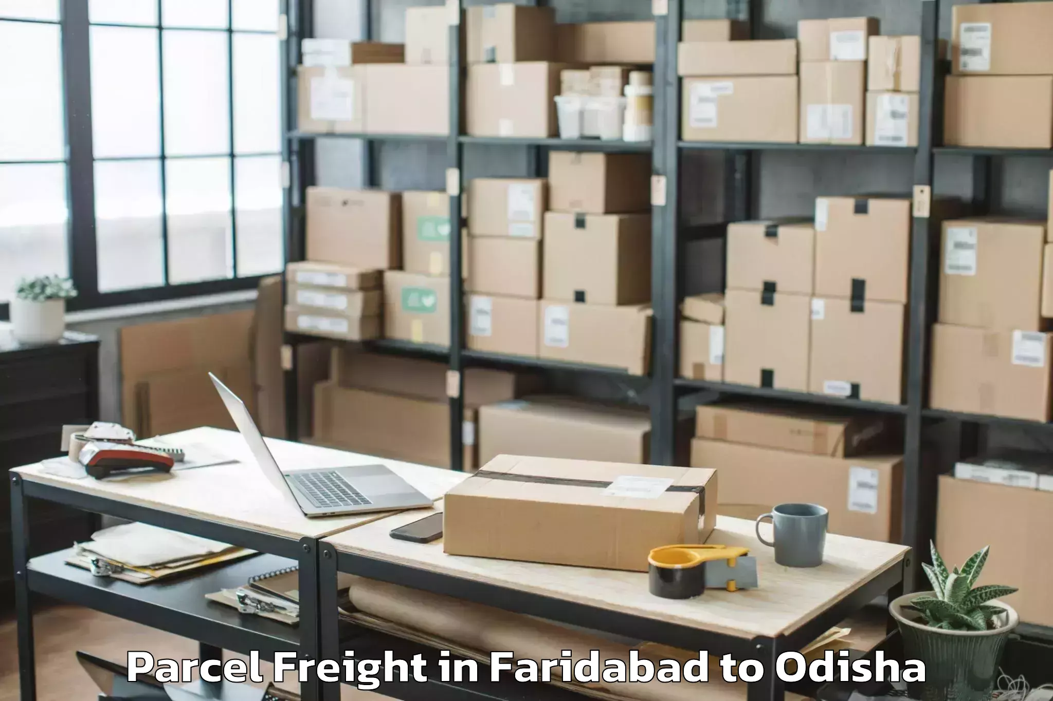 Professional Faridabad to Kuchaiburi Parcel Freight